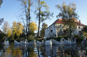 Гостиница Piotrowice Nyskie Palace  Отмухув